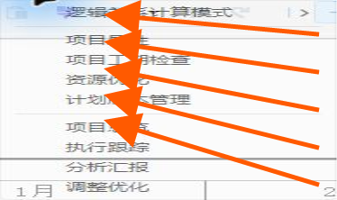 项目检查菜单中的主要功能